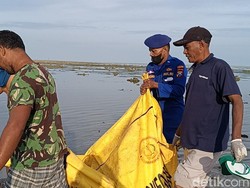 Pencari Ikan Temukan Mayat di Pohon Mangrove Lamongan