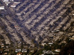 Kebakaran Los Angeles karena Apa? Perubahan Iklim Dinilai Berperan