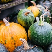 Jarang Diketahui, Ini 6 Manfaat Konsumsi Labu Kuning untuk Kesehatan