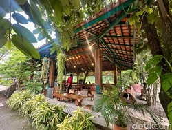 Video: Menyantap Masakan Nusantara Dikelilingi Tanaman Rindang