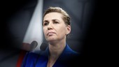 PM Denmark Sebut Netanyahu 'Biang' Masalah, Ancam Sanksi Israel