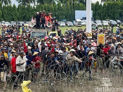 Harga Singkong di Lampung Anjlok di Bawah Rp 1.000/Kg, Ribuan Petani Demo