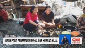 VIDEO: Kisah Para Perempuan Pengupas Kerang Hijau