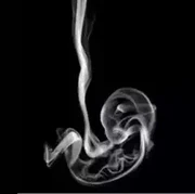 Tes Kepribadian: Gambar Asap atau Sebuah Janin yang Pertama Kamu Lihat? Ini Artinya...