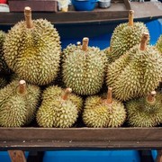 Jenis - jenis Durian yang Paling Populer, Sudah Coba yang Mana?
