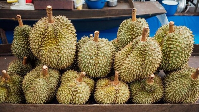 img-title Jenis - jenis Durian yang Paling Populer, Sudah Coba yang Mana?