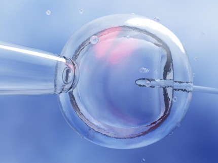 AI Disebut Bakal Mampu Bantu Sukseskan Program Hamil dengan IVF