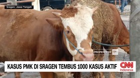 VIDEO: Kasus PMK di Sragen Tembus 1.000 Kasus Aktif