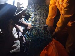 3 dari 5 Buaya yang Lepas di Penangkaran Batam Ditangkap