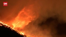VIDEO: Penampakan Topan Api Langka Firenado saat Kebakaran Los Angeles