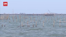 VIDEO: Senator Banten Sebut Pagar Laut Dibuat Orang Serakah