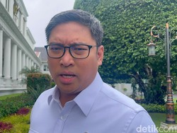 Wamentan Ungkap Nasib Beras Bulog yang Berkutu: Bisa Jadi Pakan Ternak