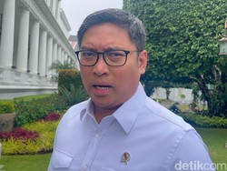 Wamentan Klaim Harga Daging Sapi Tak Naik Jelang Lebaran