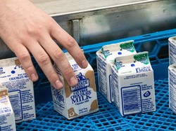 Gajinya Kecil, Pria Ini Nekat Curi Ratusan Karton Susu