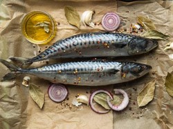 5 Jenis Ikan yang Banyak Nutrisi tapi Harganya Murah