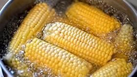 Pemerintah Siapkan Rp6 T Buat Serap 1 Juta Ton Jagung dari Petani