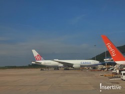 10 Barang Paling Aneh yang Tertinggal di Bandara Sepanjang 2025