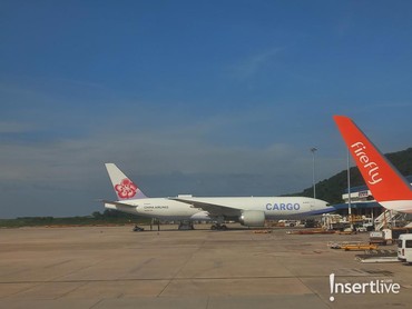 img-title Bandara Italia Ditutup Usai Kabar Seorang Pria Tersedot ke Mesin Pesawat