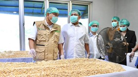 Kemenkop Siap Fasilitasi Kerja Sama Gakoptindo-BGN untuk MBG