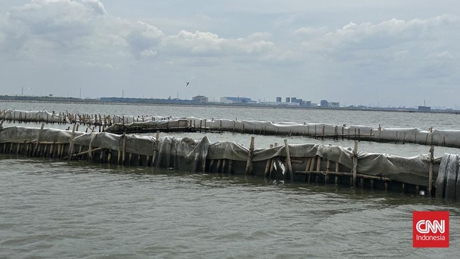 PT TRPN lewat kuasa hukumnya Deolipa Yumara menyampaikan rencana untuk melaporkan KKP ke DPR jika permasalahan penyegelan pagar laut di Bekasi tak diselesaikan.