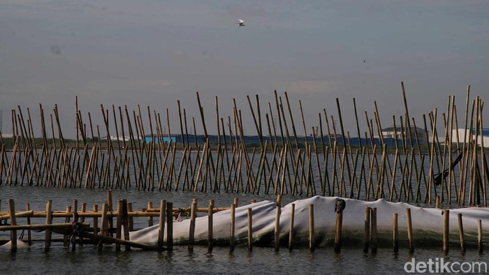 Pagar bambu di pesisir laut Desa Segarajaya, Kecamatan Tarumajaya, Kabupaten Bekasi, merupakan proyek pemerintah. Namun pagar itu menyulitkan nelayan melintas.