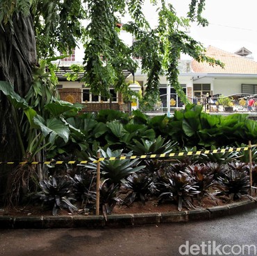 Terancam Kena Take Down, Pihak Koin Jagat yang Viral Akhirnya Buka Suara