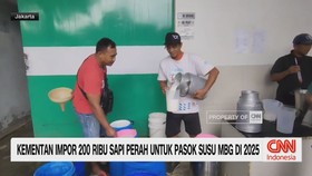 VIDEO: Kementan Impor 200 Ribu Sapi Perah untuk Susu MBG 2025