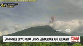 VIDEO: Gunung Ile Lewotolok Erupsi, Semburkan Abu Vulkanik