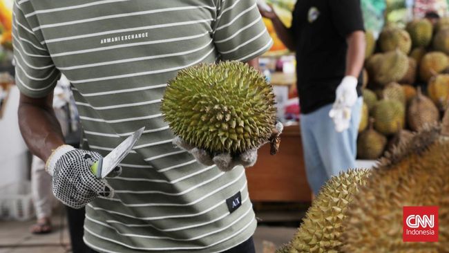 Durian mini asal Lumajang memiliki rasa manis yang legit. Durian ini jadi incaran banyak orang karena harganya murah.