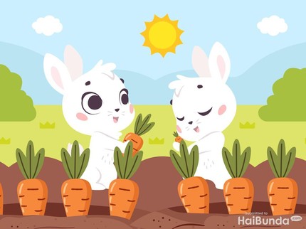 Dongeng Anak: Pelajaran di Kebun Wortel