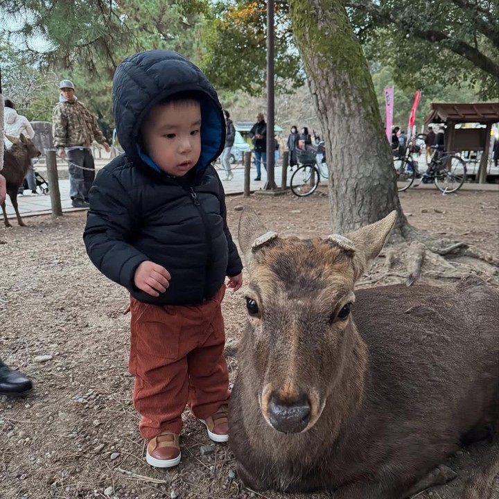 <p>Banyak netizen yang menyebut Elhanan kini semakin tampan dan menggemaskan, Bunda. Mereka pun mendoakan agar Si Kecil selalu tumbuh menjadi anak yang sehat. (Foto: Instagram: @sammysimorangkir/@viv_viviane)</p>