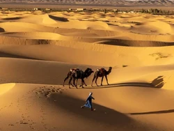 Turis Perempuan Austria Diculik di Niger