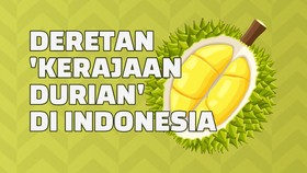 INFOGRAFIS: Deret Sentra Durian RI yang Kini Ditelikung Vietnam
