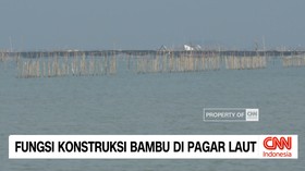 VIDEO: Fungsi Konstruksi Bambu di Pagar Laut