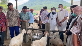 DPRD Jatim Dorong Pemerintah Waspada Status PMK Ternak