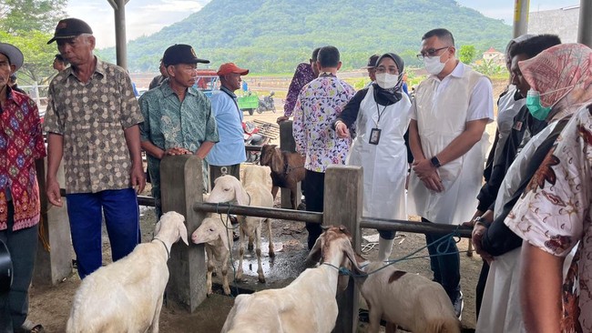 Pemerintah pusat didorong untuk kembali menetapkan PMK sebagai wabah nasional agar penanganannya bisa lebih komprehensif.