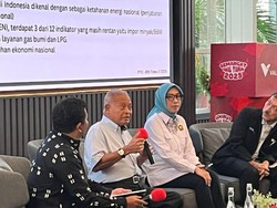 Penasihat Presiden Bicara Rencana Prabowo Perluas Lahan Sawit