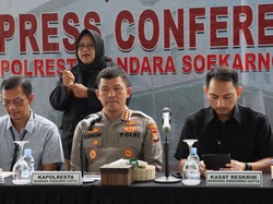 Pengiriman Benih Lobster Rp 38,8 M ke Kepri Digagalkan di Soetta