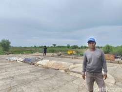 Kala Limbah Cangkang Rajungan Menjadi Harapan Hidup Somad
