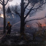 4 Dampak pada Lingkungan Akibat Kebakaran di Los Angeles yang Semakin Meluas