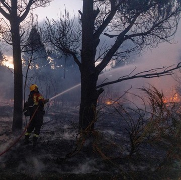 4 Dampak pada Lingkungan Akibat Kebakaran di Los Angeles yang Semakin Meluas