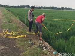 Temuan Polisi di TKP Mayat Berlumuran Darah di Majalengka