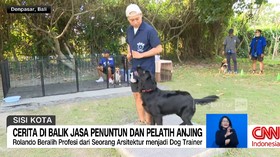 VIDEO: Cerita di Balik Jasa Penuntun dan Pelatih Anjing