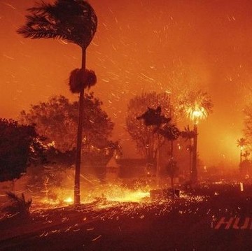 7 Bencana Kebakaran Hutan Terburuk di Dunia Sepanjang Sejarah, Termasuk Kebakaran Los Angeles!