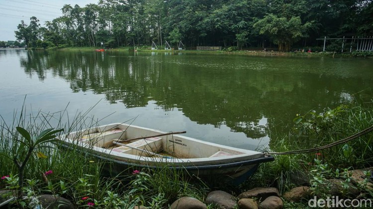 Sejumlah anak bermain di area Desa Wisata, Situ Jatijajar, Depok, Jawa Barat, Jumat (17/1/2025). Situ Jatijajar telah dipilih untuk mewakili Kota Depok dalam Forum Desa Wisata se Jawa Barat karena memiliki potensi besar untuk wisata air, olahraga air, hingga hutan kota, pemilihan tersebut didasari oleh konsep provinsi Jawa Barat yang ingin memajukan desa-desa wisata.