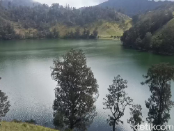 Penutupan Pendakian Semeru Diperpanjang hingga 8 Februari