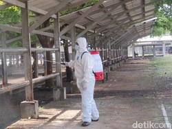 Jatah Vaksin Kurang, Disnak Tulungagung Dorong Peternak Vaksinasi Mandiri