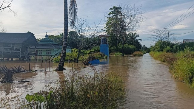 Tanggul Way Ketibung jebol dan air sungai Way Sekampung meluap hingga merendam ratusan hektar sawah milik petani di Kabupaten Lampung Selatan, Lampung.