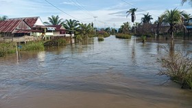 Banjir Kepung Sumatera, Jawa, Kalimantan, Sulawesi di Akhir Januari