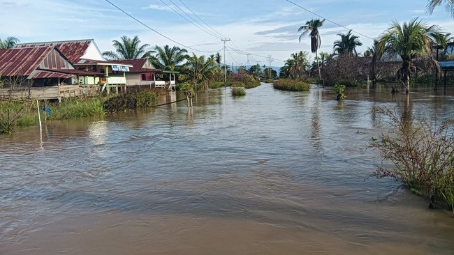 Badan Nasional Penanggulangan Bencana (BNPB) melaporkan banjir terjadi di beberapa daerah di Indonesia pada pekan keempat Januari 2025.